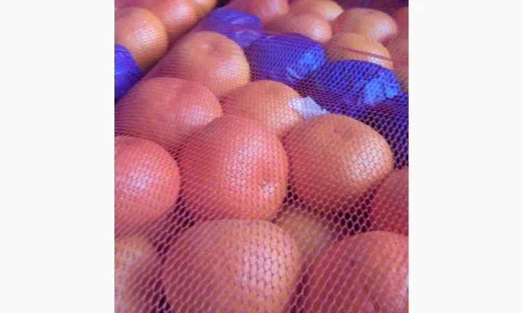 Продаются мандарины Окітсу, Сатсума оптом - фото № 1