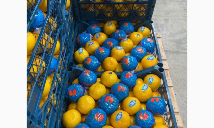 Мандарины экспорт, Турция - фото № 1