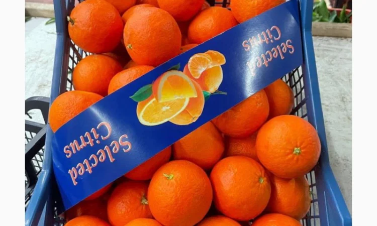 Продаємо Мандарин Нова, Греція, опт зі складу у Києві - фото № 1