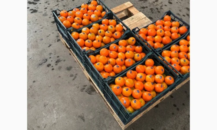 Мандарин Мираф Завозимо через Румунію, ціна в тоннах - фото № 1