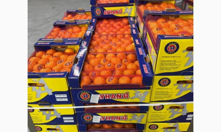 Продаємо мандарин гуртом - фото № 1