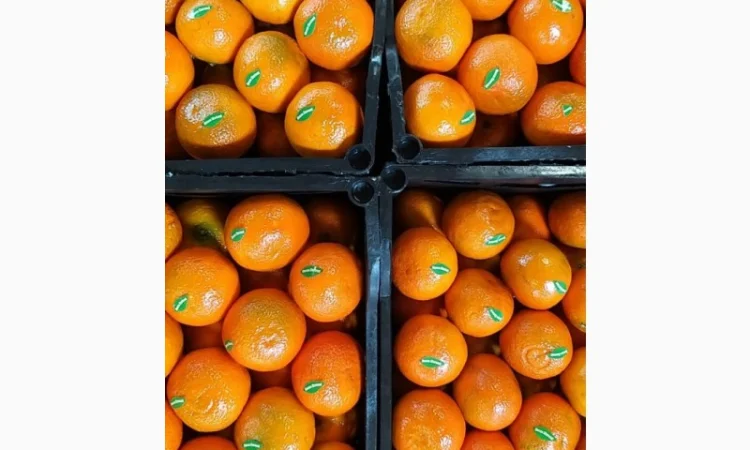 Мандарины свежие Египет - фото № 2