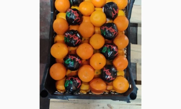 Мандарин NOVA - фото № 2