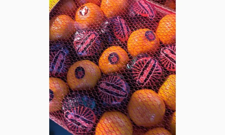 Продам измирский мандарин - фото № 1