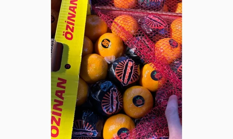 Продам измирский мандарин - фото № 2