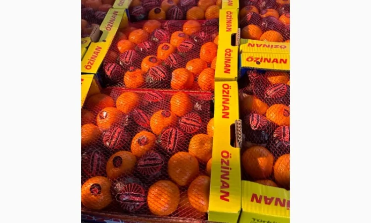 Продам измирский мандарин - фото № 4