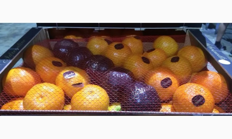 Iспанський Мандарин - фото № 4