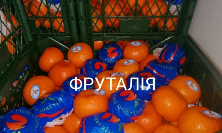 Мандарины опт Днепр. Мандарины цена договорная, поставщик. Мандарины оптом - фото № 1