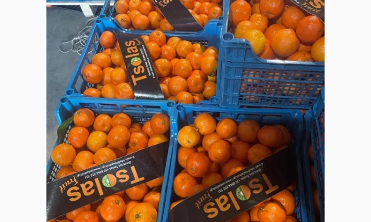 Мандарины Испания цена 36грн кг от 5 тонн - фото № 1
