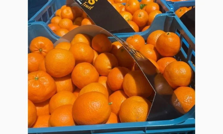 Продам мандарины без брака цена 36грн кг опт от 5 тонн - фото № 1