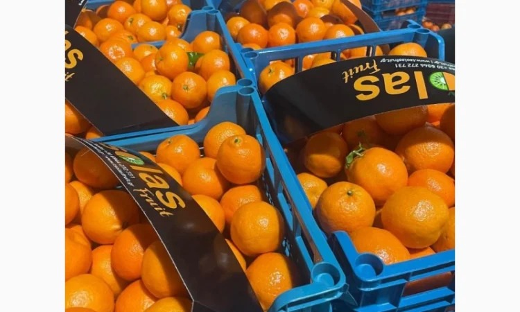 Мандарины ОПТ 36грн кг от 5т Турция без брака - фото № 1