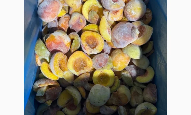 Продам заморожений персик половинки без кісточки - фото № 1