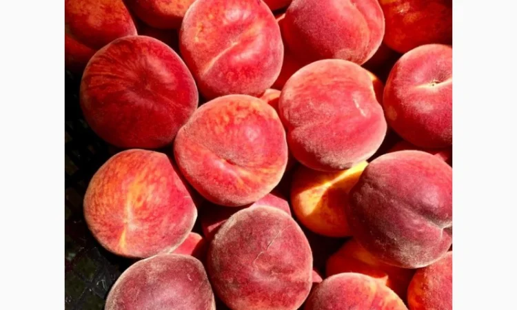 Продаж персиків - фото № 1