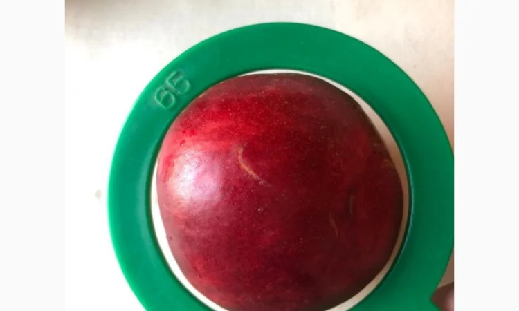 Оптовий продаж персиків-нектаринок - фото № 1