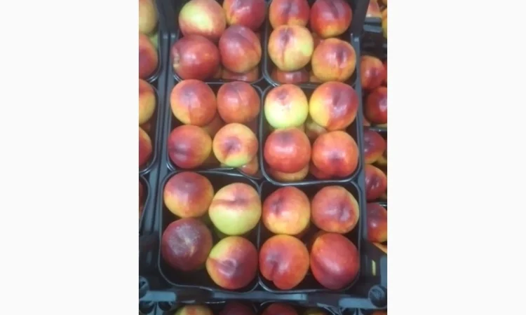 Персики урожаю 2023 року оптом - фото № 1