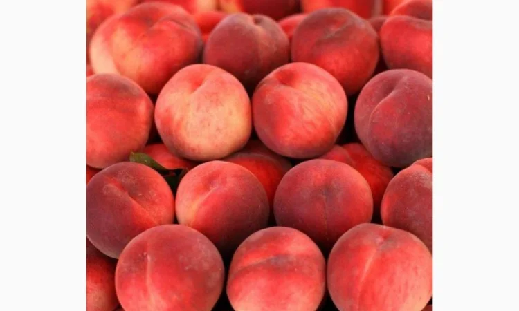 Куплю оптом персик, від 1 тони - фото № 1