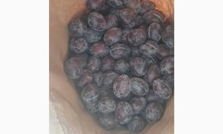 Продам сливу заморожену, сорт Стенлей - фото № 3