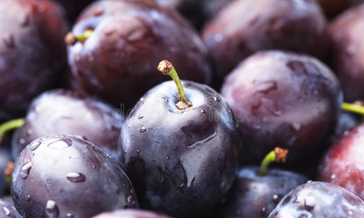 КУПЛЮ сливу - фото № 1