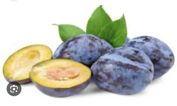 Куплю сливу свіжу - фото № 1