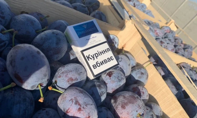 Слива : президент, стенлей, топ-хит, блю-фри - фото № 5