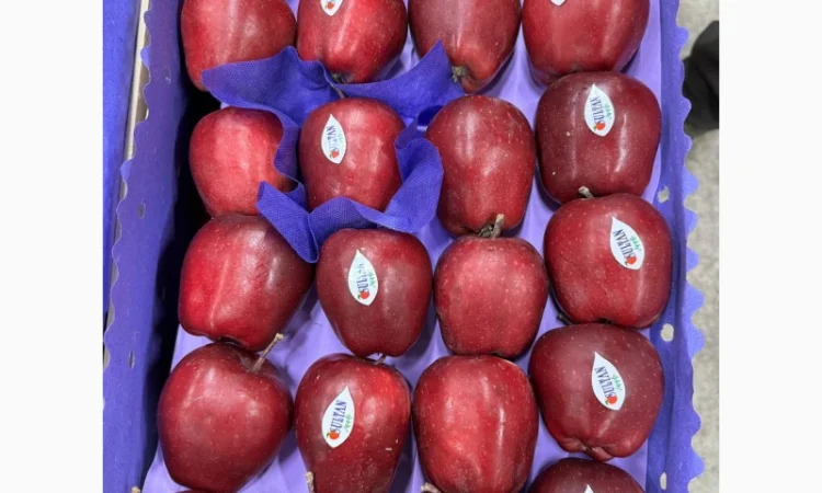 Продаются яблоки сорта Джерамін - фото № 2
