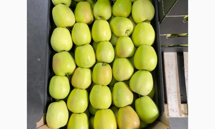 Продам яблоки несколько сортов с хранилищя. От производителя с 20 тонн - фото № 2