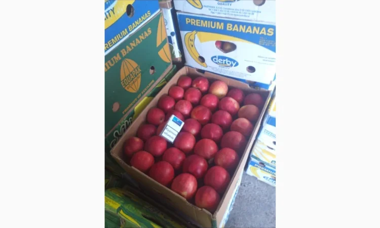 Продаются яблоки разных сортов - фото № 3