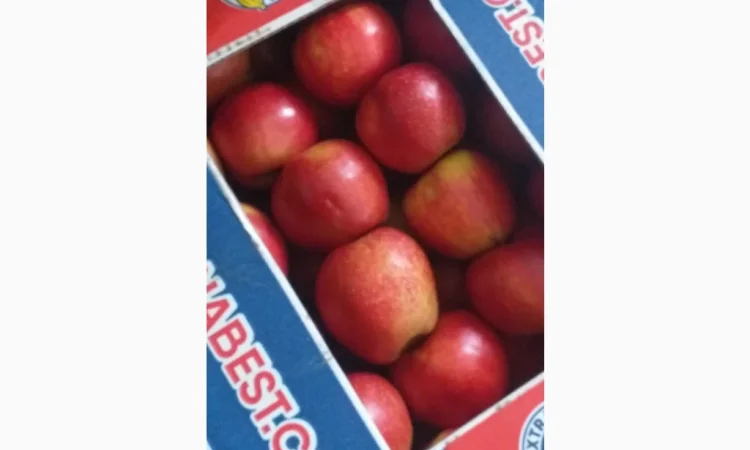 Продаются яблоки разных сортов - фото № 8