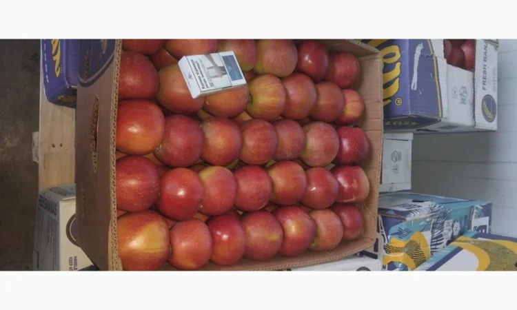 Продаются яблоки разных сортов - фото № 9