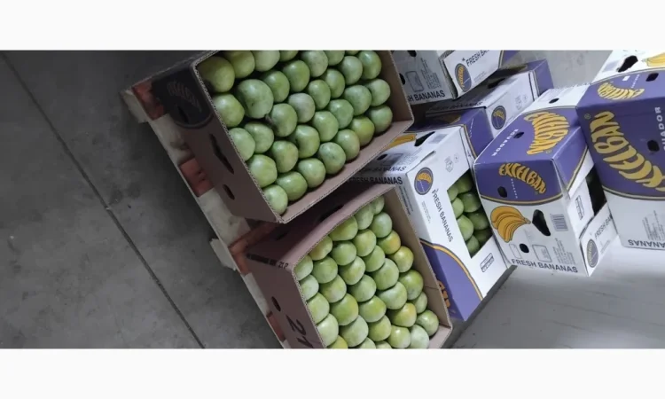 Продам яблоки - фото № 10