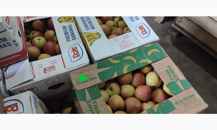 Продам яблоки Фуджи - фото № 2