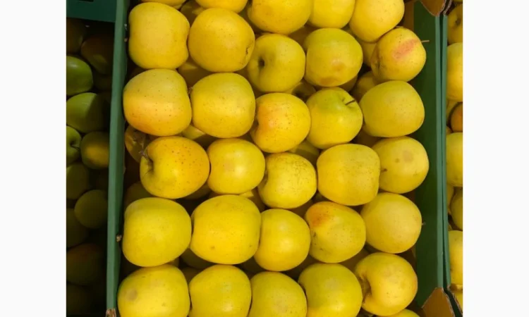 Продам яблоки от произодителя несколько сортов с 20 тонн - фото № 7