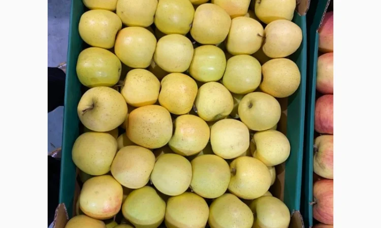 Продам яблоки от произодителя несколько сортов с 20 тонн - фото № 9