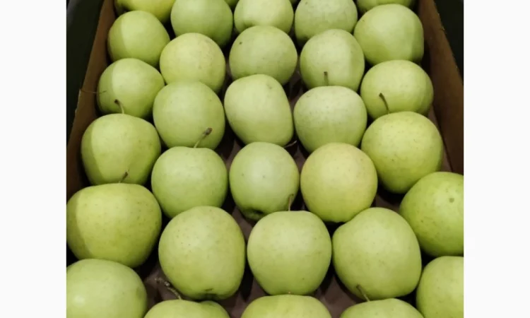 Продам яблоки от производителя несколько сортов с 10 тонн - фото № 2