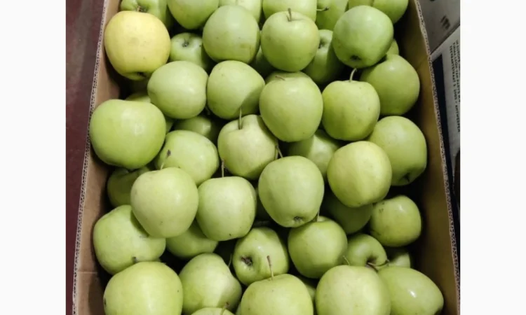 Продам яблоки от производителя несколько сортов с 10 тонн - фото № 4
