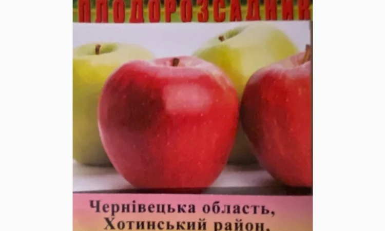 Продам яблука оптом - фото № 5