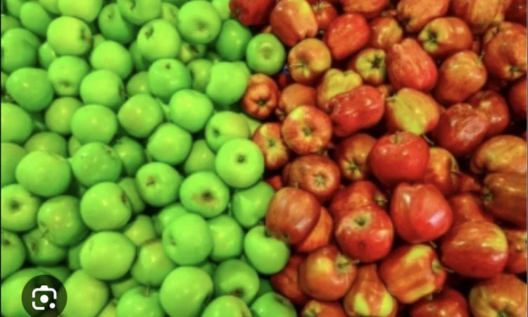 Купую яблука всіх сортів - фото № 1