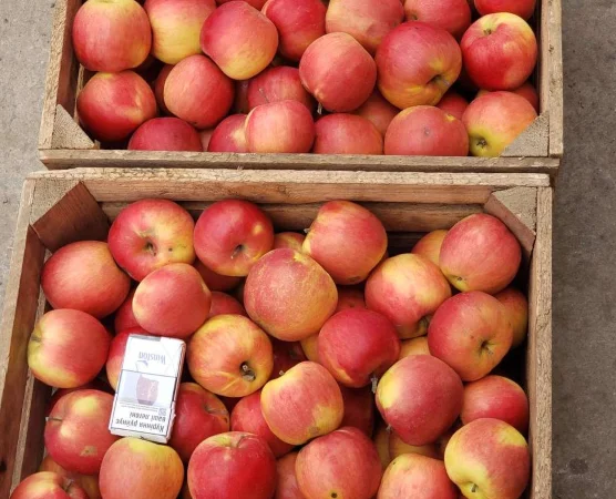 Продам ЯБЛУКА гурт: Джонаголд - фото № 1