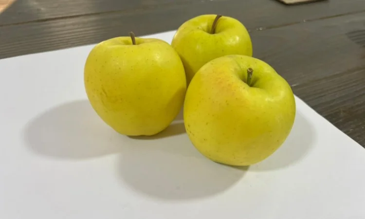 Продам яблука Голден - фото № 2