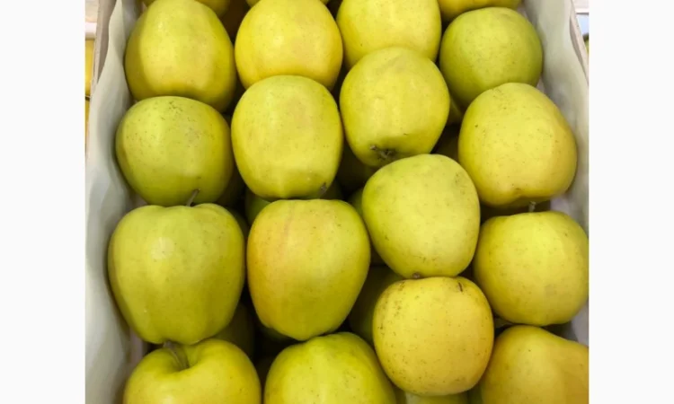 Продам яблука Голден - фото № 5