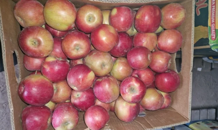 Продам яблука різних сортів гарноі якості - фото № 12