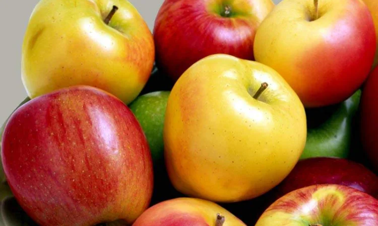 Куплю яблука оптом - фото № 1