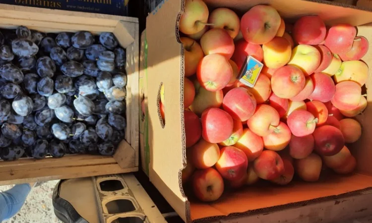 Продам яблука з власного саду - фото № 4