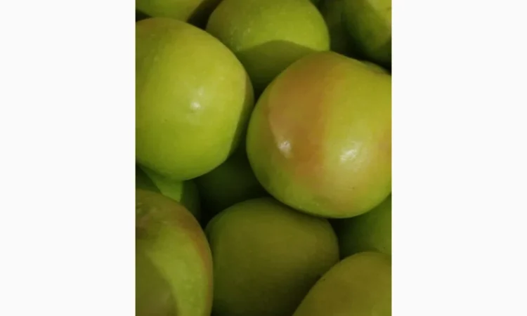 Продаються яблука різних сортів: Голден - фото № 18