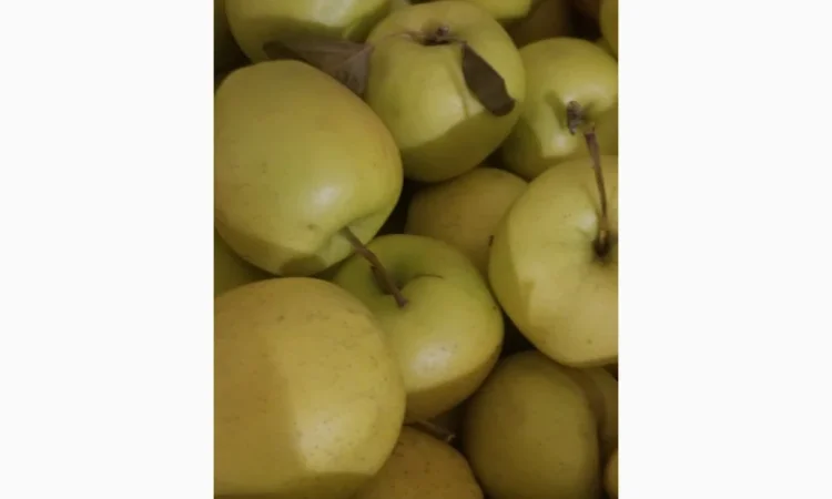 Продаються яблука різних сортів: Голден - фото № 13