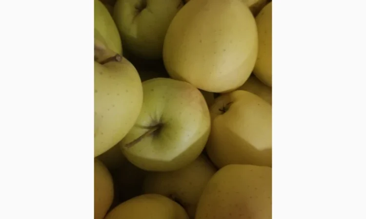 Продаються яблука різних сортів: Голден - фото № 7