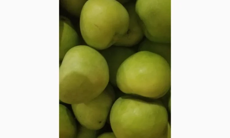 Продаються яблука різних сортів: Голден - фото № 4