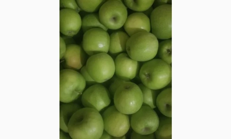 Продам яблука різних сортів: Пінова, Симеренка, Лігольт, Декоста, Фудж - фото № 8