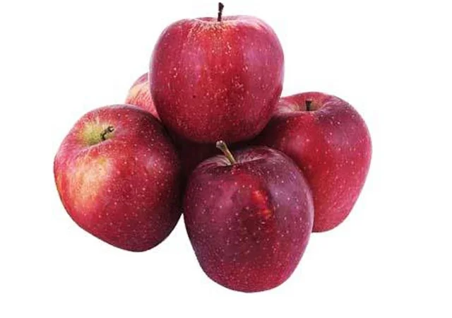 Закуповуємо яблуко Ред Чіф від 20 тон по всій Україні - фото № 1