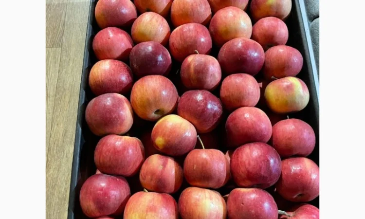 Продам яблоко - фото № 3